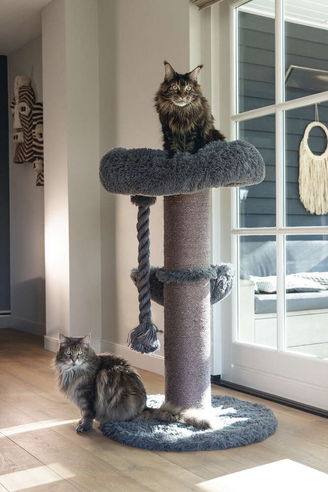 beeztees Kratzbaum Ramiro